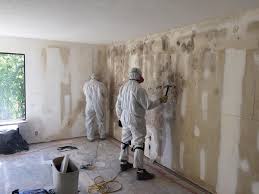 Best Industrial Mold Remediation  in Narrows, VA